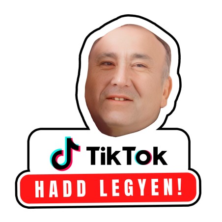 "Hadd legyen!" TikTok Matrica