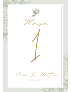 Număr de Masă (Model 2)