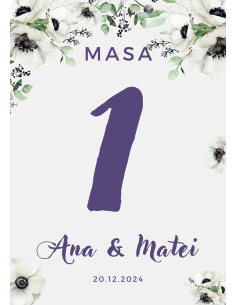 Număr de Masă (Model 4)