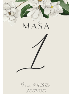 Număr de Masă (Model 7)